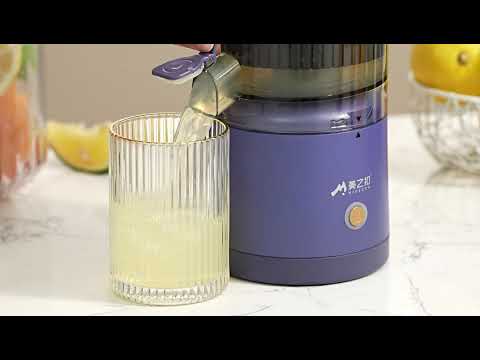 WhatsApp Video 2023 05 15 at 16 58 50