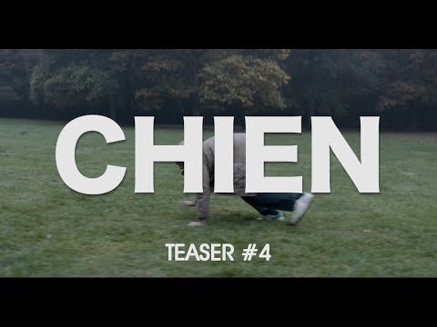 Chien  	Paradis Films 