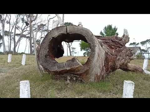 El Fortín, Estación Atlántida, Villa Argentina. Canelones, Uruguay.