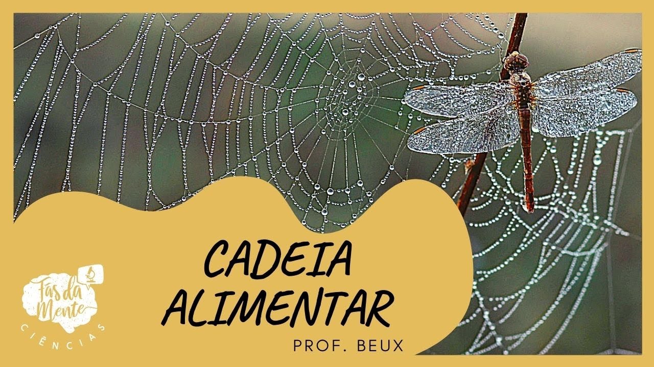 CADEIA ALIMENTAR - Ensino Fundamental