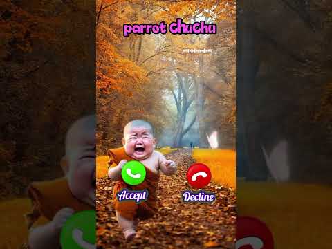 Cat Meowing Calling You Naureen 🐱✨ #youtubeshorts #ringtone #viral