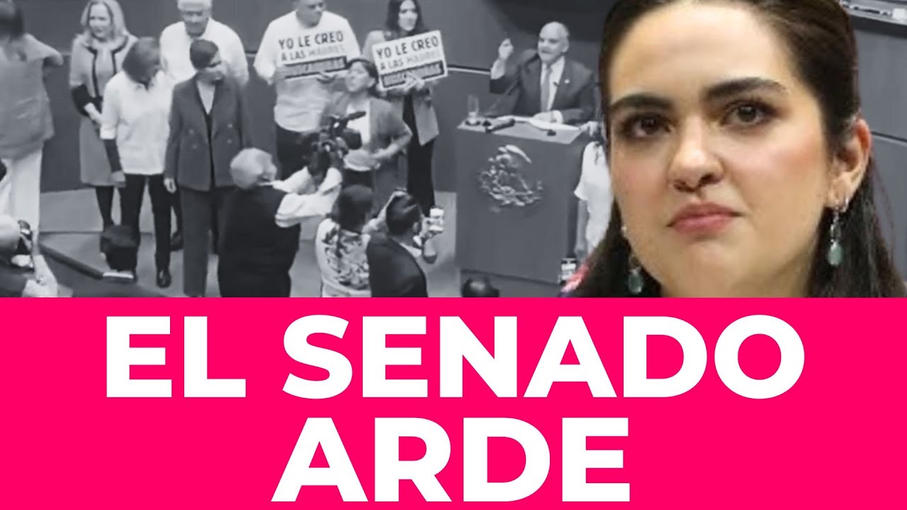 ¡Escándalo en el Senado! Andrea Chávez y senadores de Morena huyen tras protestas por Teuchitlán