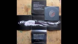 The Ink In The Well - David Sylvian - (cover by Fabrizio Orrigo)