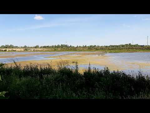 Rangeerstation Antwerpen-Noord Binnenweilanden 31 mei 2020