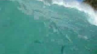 Captain Budgie Smuggler Surf time 2