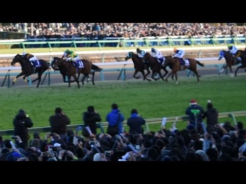 ＜超アクシデント発生！＞2016.12.25有馬記念(GⅠ)⑤勝ち馬サトノダイヤモンド＠中山競馬場