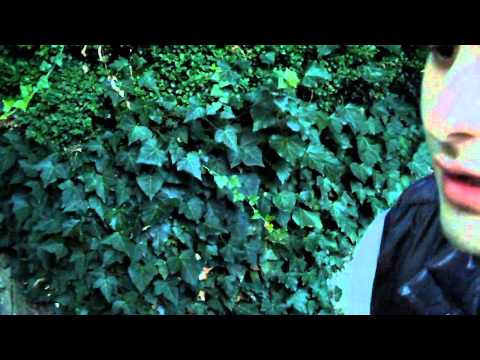 Vauks feat. Faaker - Krek n' Belo [HD Video]