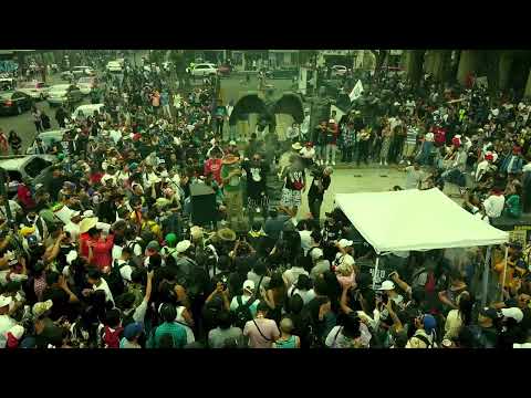 ESTO FUE LO QUE SE VIVIÓ CON BEE HIGH MEXICO EN LA MARCHA 4/20 Y EL MOVIMIENTO DEL 7 DE MAYO EN CDMX