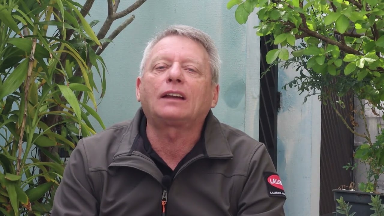 SILAGEM DE MILHO: QUANTAS TONELADAS PODEM SER OBTIDAS POR HECTARE?