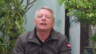 SILAGEM DE MILHO: QUANTAS TONELADAS PODEM SER OBTIDAS POR HECTARE?