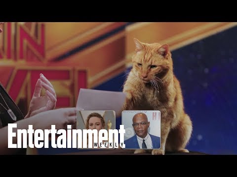 Captain Marvel's Cat 'Goose': A Purrfect Interview | Entertainment Weekly