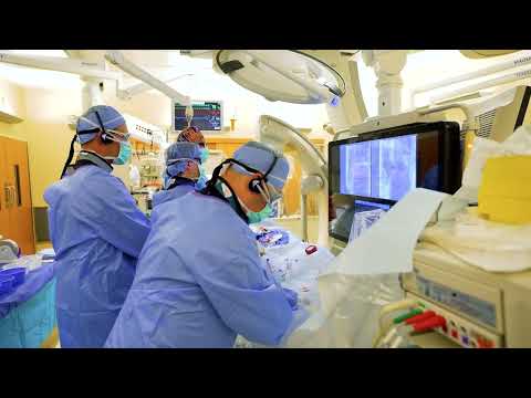 Structural Heart Program