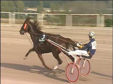 Trotto 06/12/2019 - 1ª corsa