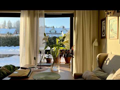 Slow winter ❄️ days in Oslo