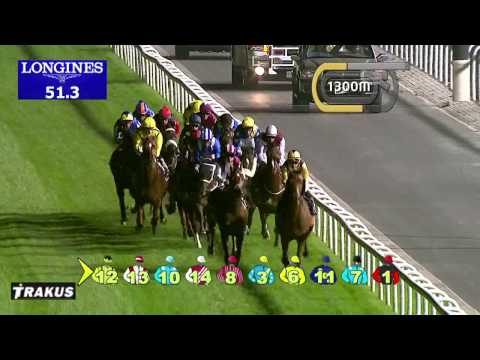 30.01.2014 Meydan (Dubai-UAE) 6.Race DUBAL Potlines Trophy - Handicap 2.000 m