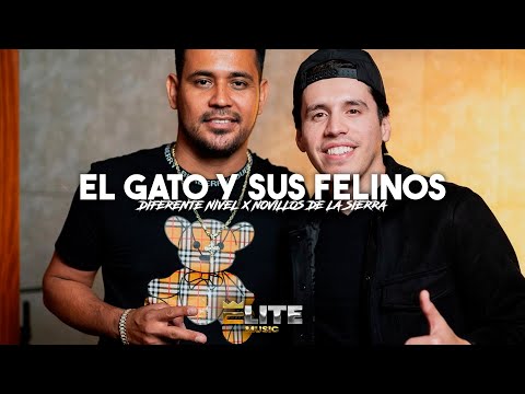 Diferente Nivel X Novillos De La Sierra - El Gato Y Su Manada (Estudio 2024)