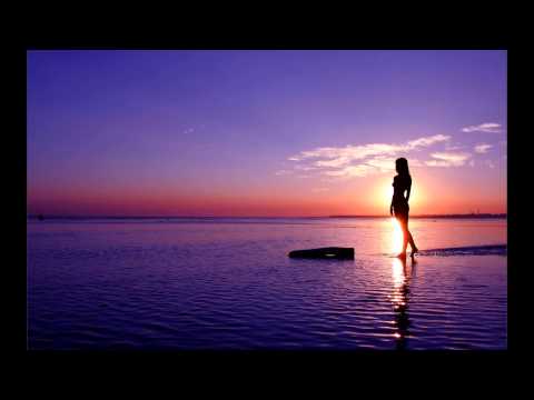 Martin Garrix vs Bingo Players - Animals & Buzz Cut [Avnick & Deejay Vule Mashup]