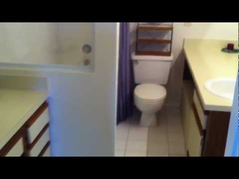 Miami apartments for rent