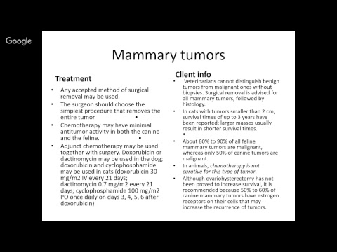 Reproductive Diseases within Small Animal Species