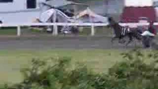 preview picture of video 'Trottingbred Racing'
