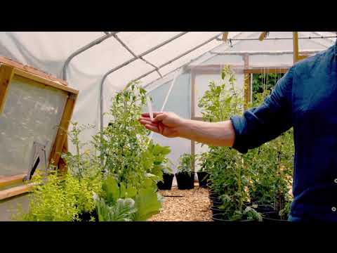 Plantettiketter små