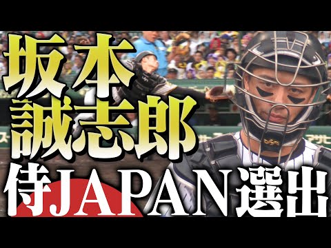 【超速報】坂本誠志郎選手が侍ジャパンに選出!WBC2026に出場する坂本選手の昨季の活躍をまとめてお届け!阪神タイガース密着!応援番組「虎バン」ABCテレビ公式チャンネル