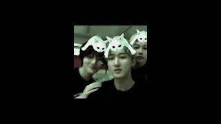 Cover art for insomnia (sped up / nightcore)