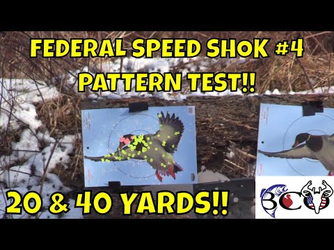 Ammo Test! 12 Gauge BB - Federal Black Cloud Steel