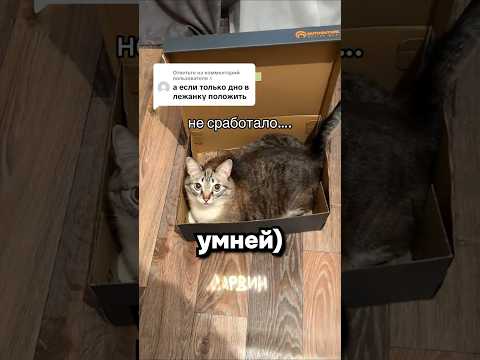 Кто кого обманул в итоге?