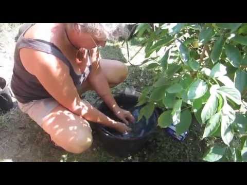 Rakukursus Jettestuen 2014