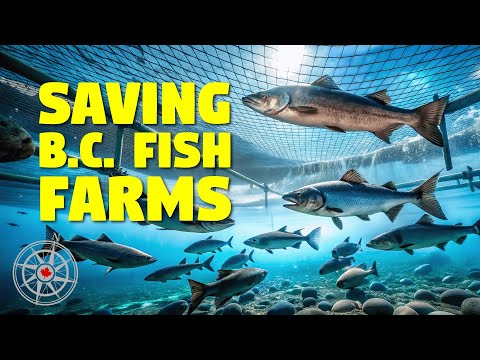 Does salmon farming have a future in Canada?: Ken Coates and Linda Sams Does salmon farming have a future in Canada?: Ken Coates and Linda Sams