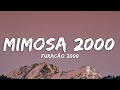 Furacão 2000 Mimosa 2000 Lyrics