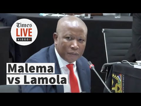 Malema vs Lamola Shouting match at JSC hearings as Zondo interviews for chief justice position