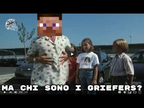 Ma Chi Sono I Griefer? [REUPPOLODDO]