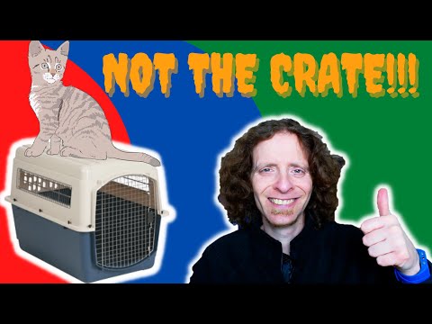 How To Get Your Cat Into A Crate | Veterinarian Explains