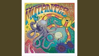 The Rain, The Park And Other Things