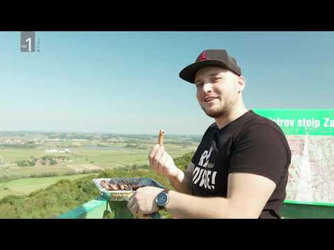 Slovenska podoknica - Il divji (predstavitev) (Slovenski pozdrav, 11.10.2019)