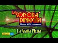 La Araña Picua - La Sonora Dinamita / Discos Fuentes