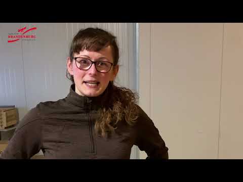 Sie fragen - Wir antworten! Was und wie viel frisst ein Huhn?