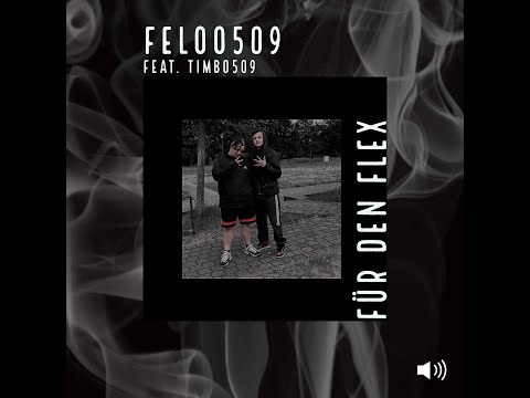 Feloo509 feat. Timbo509 - Für den Flex (mix. by Timbo)
