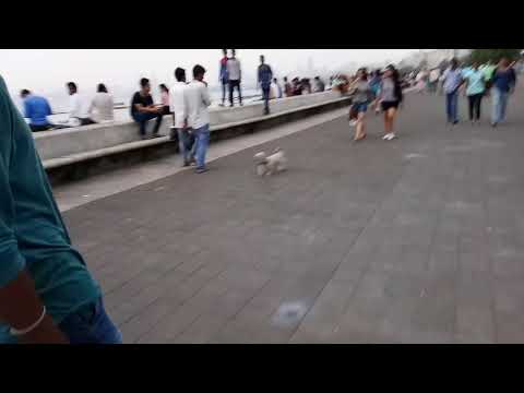 Marine Drive by Indrajit..IA