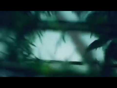 ወንዲ ማክ ሸብ አርጋ (ግጥም) Wendi Mak (Sheb Arega) New Ethiopian music 2018 #Wendimak #Shebarga #tigergna