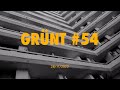 Lesram Grünt 54