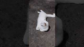 Download lagu relax mp3 Download lagu relax mp3