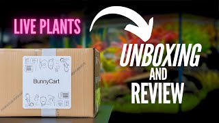 How to Order Aquarium Plants Online✅BUNNY CART Unboxing & Review |low-tech plants |detail guide.