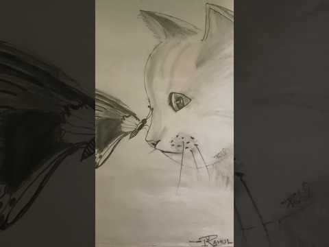 Cat with Butterfly | Shading | You Tube Shorts | Rahul & Kritika | #trending #drawing #viral