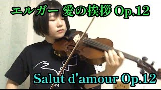 Download lagu 【愛の挨拶/Salut d'amour】バイオリン演奏【violin】 mp3