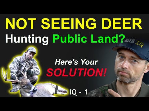 NOT SEEING DEER Hunting Public Land? Here's your Solution!