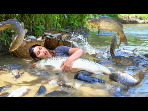 Encounter huge school of fish: How to Catch Giant fish by Hand to Sell with Single mom