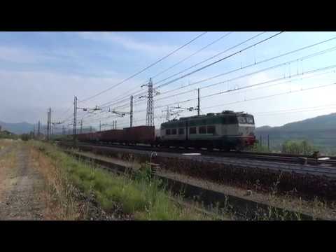 IL CAIMANO TITOLARE DEL MERCI DI CONTAINER IN TRANSITO A ARQUATA S. (AL) 15 - 7 - 2017